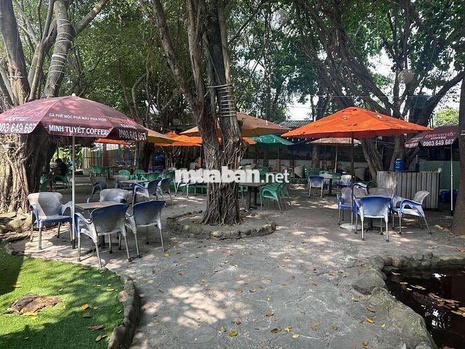 Sang quán cafe sân vườn Hoa Lá