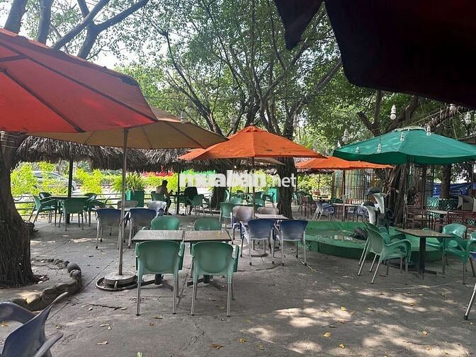 Sang quán cafe sân vườn Hoa Lá