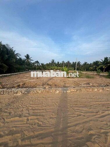 🔥CHỈ 490 TRIỆU  – CƠ HỘI ĐẦU TƯ SINH LỜI TẠI VĨNH LONG 🔥