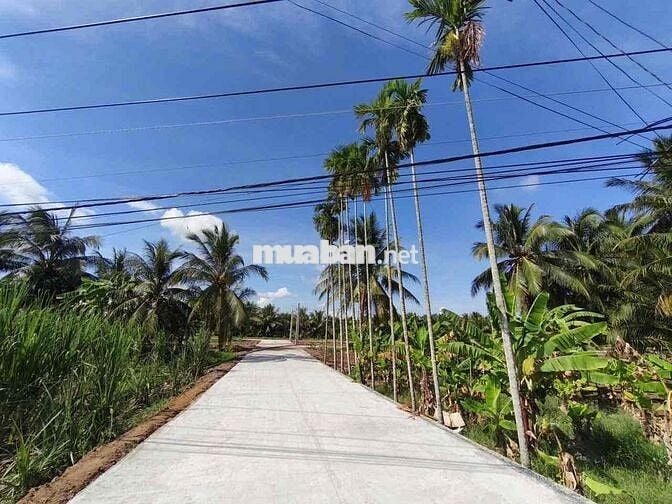 🔥CHỈ 490 TRIỆU  – CƠ HỘI ĐẦU TƯ SINH LỜI TẠI VĨNH LONG 🔥