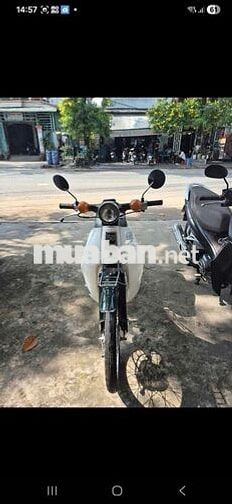 Honda Cup 81-86 Trắng
