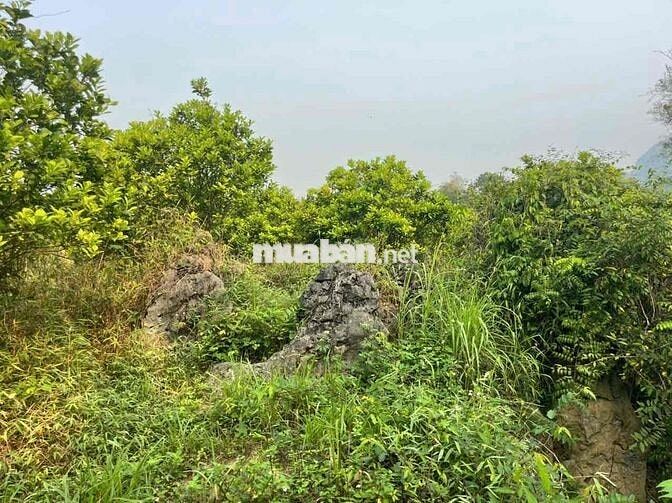 bán đất địa phận tân lạc - hoà bình