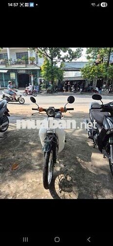 Honda Cup 81-86 Trắng