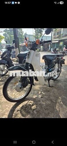 Honda Cup 81-86 Trắng
