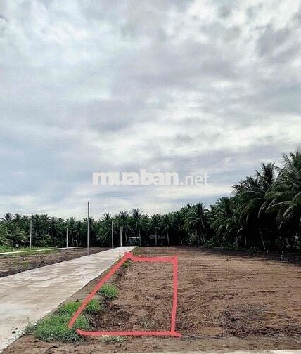 NỀN FULL THỔ CƯ - GIÁ 910 TRIỆU TẠI VĨNH LONG (TRÀ VĨNH CŨ)