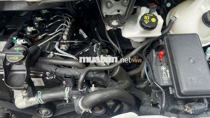 Ford Transit 2021 Trắng 50.000 km