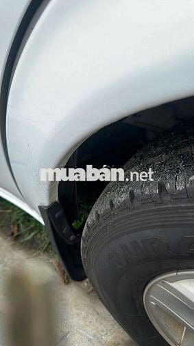 Ford Transit 2021 Trắng 50.000 km