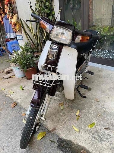 Honda Dream 2025 50cc mới cứng