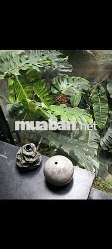 Hẻm 18 Phan Tôn hẻm Ba Gác, Chính Chủ, khu yên tĩnh dân trí cao