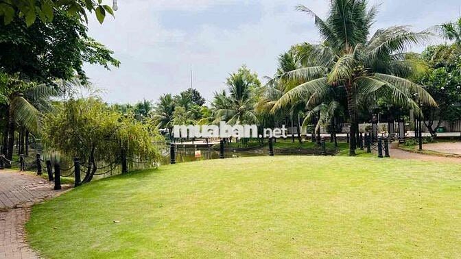 Cần cho thuê căn nhà phố Camellia 15 triệu 3pn3wc nhà có nội thất