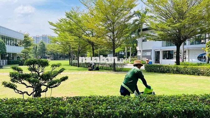 Cần cho thuê căn nhà phố Camellia 15 triệu 3pn3wc nhà có nội thất