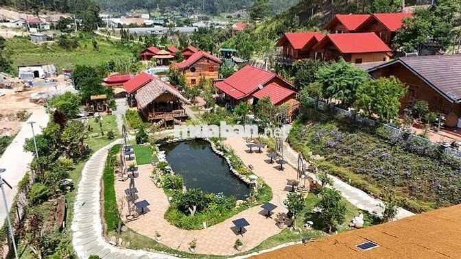 *Resort cần tuyển dụng nhân viên cho khu vực khách