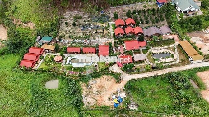 *Resort cần tuyển dụng nhân viên cho khu vực khách
