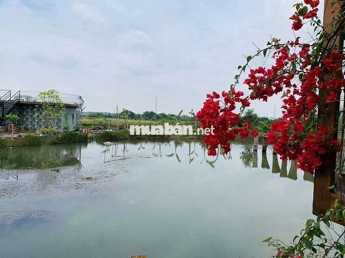 Chính chủ Bán nhà vườn sát cầu Phú Mỹ 2, 
đường ô tô