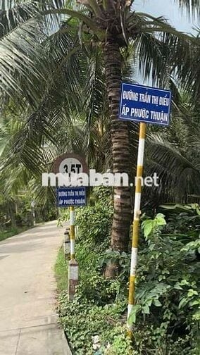 cần bán đất đường Trần Thị Điểu