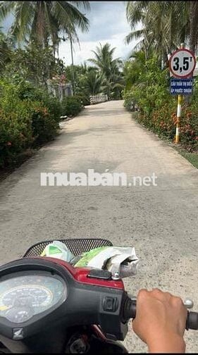 cần bán đất đường Trần Thị Điểu