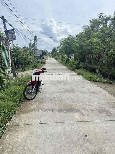 cần bán đất đường Trần Thị Điểu