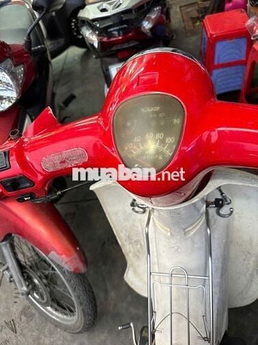 Cub 50cc Thailand 2017 bs 49ad-04916