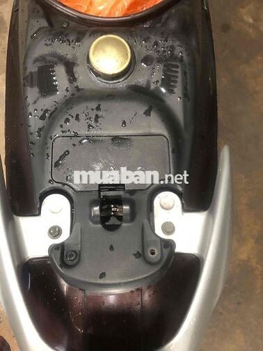 Suzuki Hayate Nâu, Vàng đồng