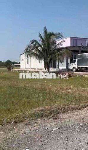 Đất mặt tiền Tập Đoàn 6 đá xanh 8m  4,5x30 full thổ gần Chợ 890tr SHR