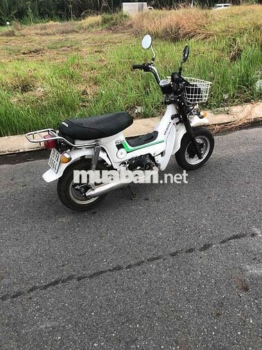 Honda Chaly 1981 50cc Trắng