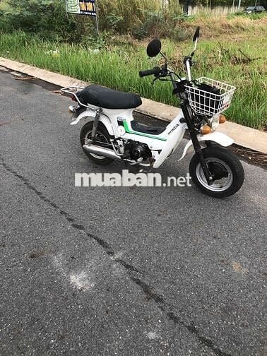 Honda Chaly 1981 50cc Trắng