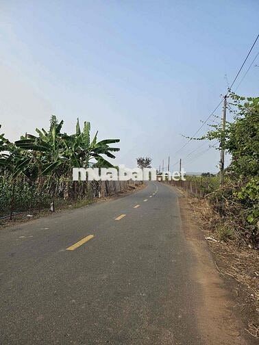 kẹt tiền ngân hàng bán gấp lô đất 206m2(80mthổ cư)