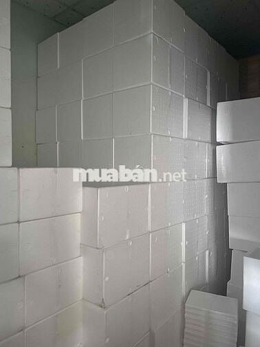 5 NAM NV KHO DĨ AN - TÂN ĐÔNG HIỆP