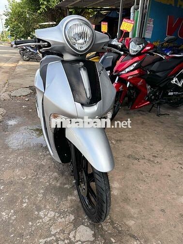 Yamaha Janus 2017 Bạc Porsche / Ngay Chủ 65