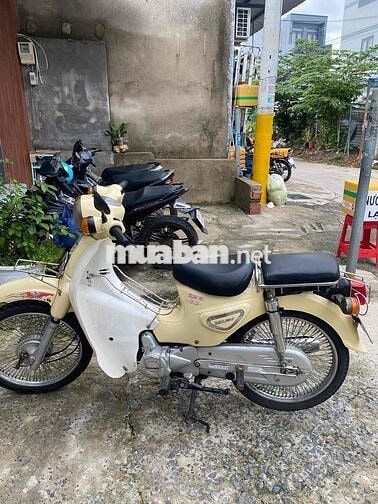 Daelim Cup 50cc màu Kem Zin êm