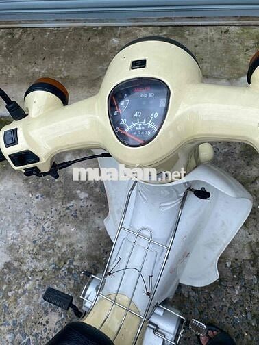 Daelim Cup 50cc màu Kem Zin êm