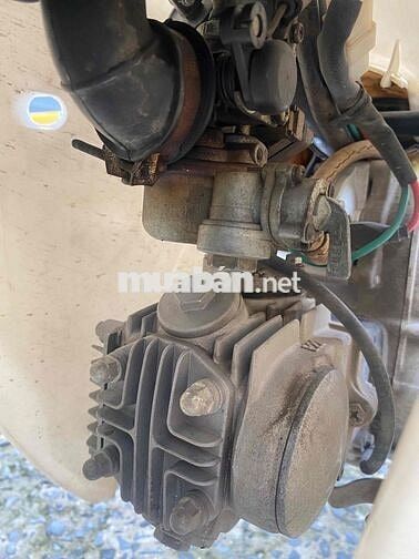 Daelim Cup 50cc màu Kem Zin êm