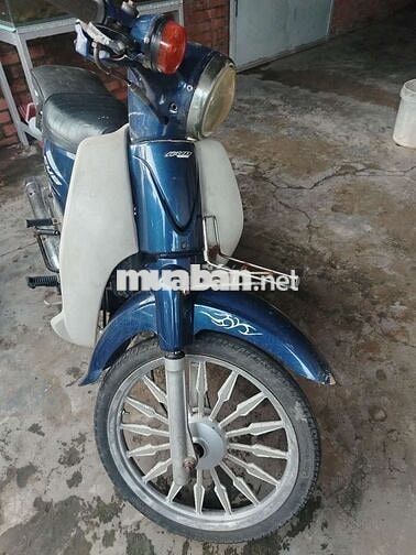 Honda Cub 50cc Xanh, Trắng