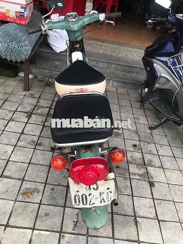 Honda Cub màu Xanh lá