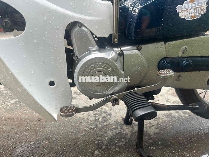 Honda Cub 50cc Xanh trắng
