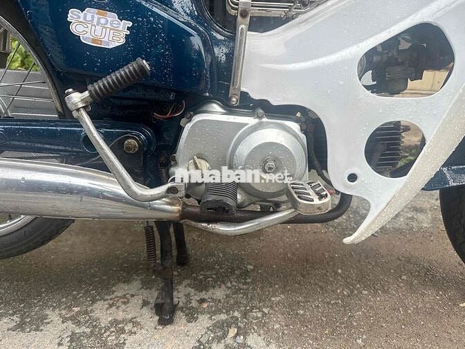 Honda Cub 50cc Xanh trắng