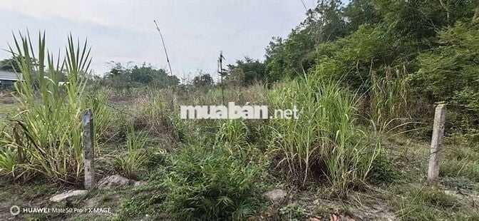 Tôi chính chủ cần bán lô đất xã An Nhơn Tây full thổ 360,8 m2