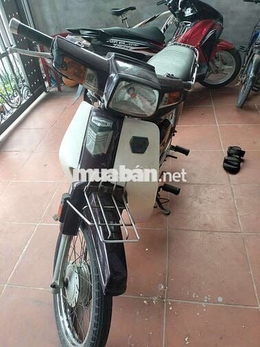 Honda Dream Việt 2006 Tím trắng
