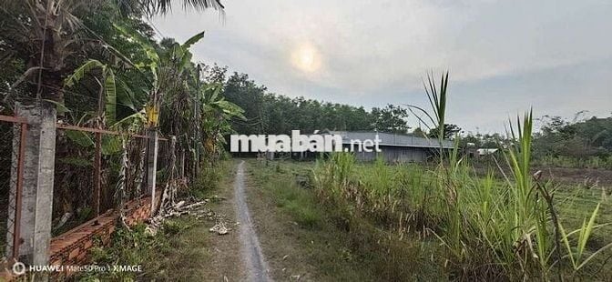 Tôi chính chủ cần bán lô đất xã An Nhơn Tây full thổ 360,8 m2