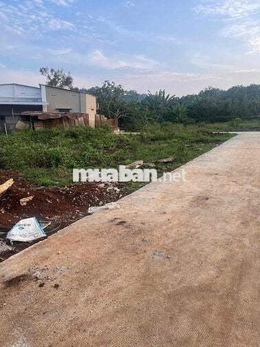 Kẹt tiền bán gấp 119m2 thổ cư 100%- ngay sau phường Hàng Gòn,Đồng Nai