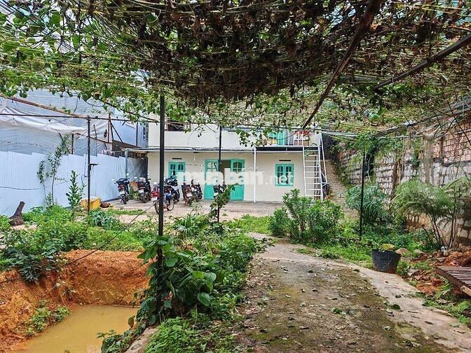 Nhà khu dưới trệt sân rộng 300m2
