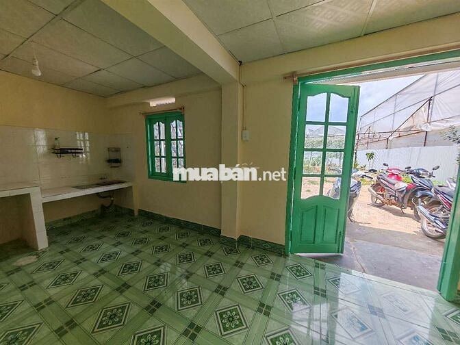Nhà khu dưới trệt sân rộng 300m2