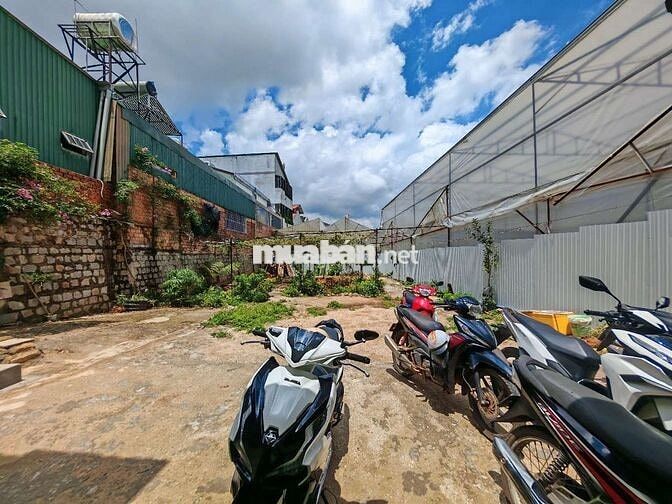 Nhà khu dưới trệt sân rộng 300m2