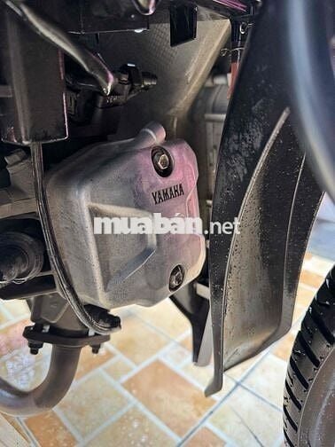 Yamaha Jupiter Finn Trắng 7/2024