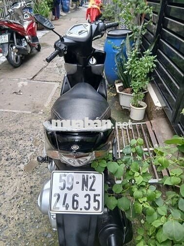 Yamaha Luvias bstp