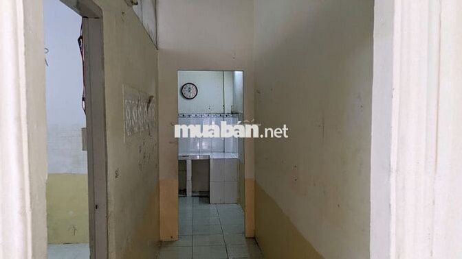 🚪 Cho Thuê Nhà Chính Chủ Đường Quang Trung – Khu Vực Sầm Uất Gò Vấp