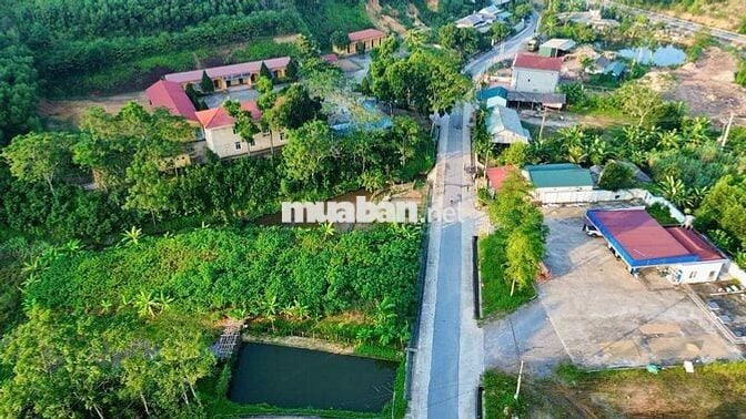 Bán đất 100m² full thổ cư ngang 5m giá 620 triệu tại Xã Đan Thượng