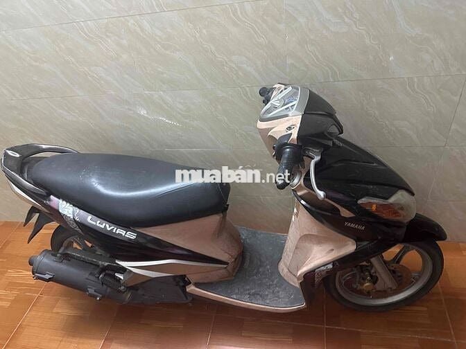 Yamaha Luvias Đen Nâu nguyên bản