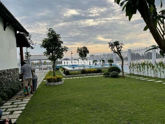 Bán đất Nghỉ Dưỡng view sông Vàm Cỏ Đông đẹp tại Hoà Khánh