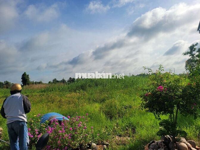 Bán đất Nghỉ Dưỡng view sông Vàm Cỏ Đông đẹp tại Hoà Khánh